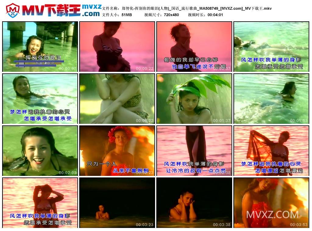 郑智化-挥别你的眼泪(人物)_国语_流行歌曲_MA508749